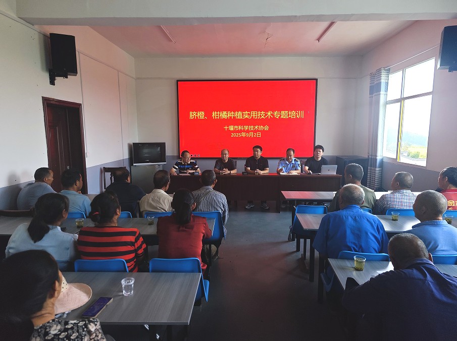 1756885966668004737.jpg 11.jpg