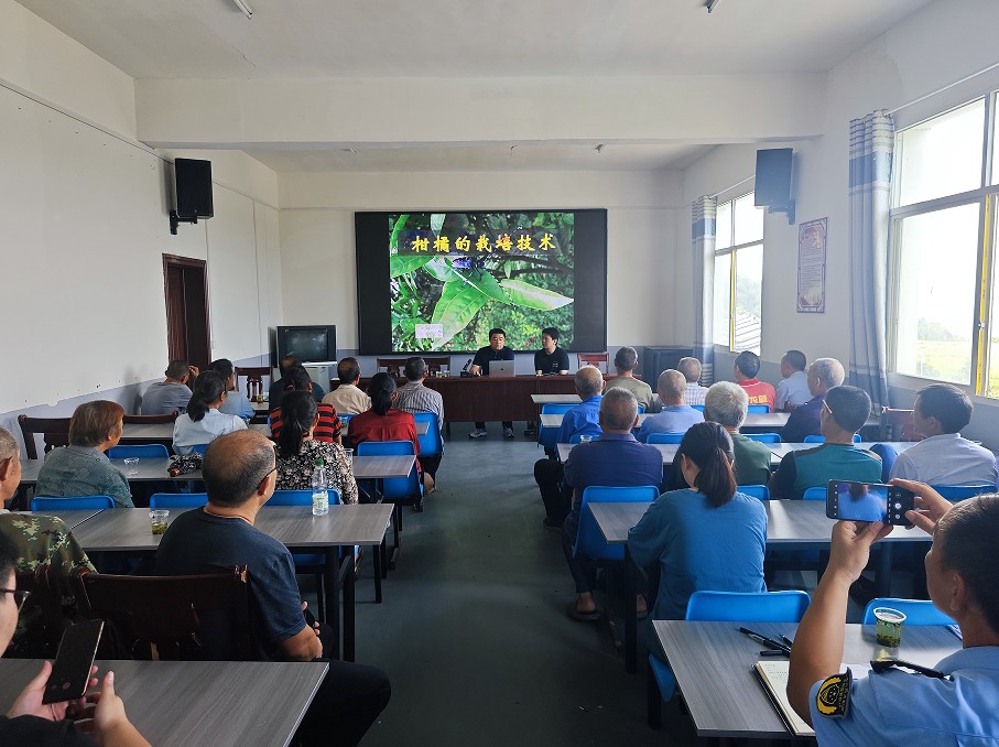 1756885984531000955.jpg 22.jpg