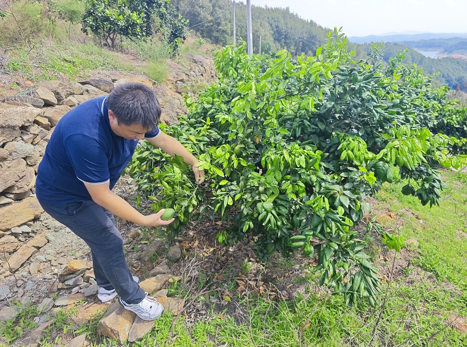 1756886002628066229.jpg 33.jpg