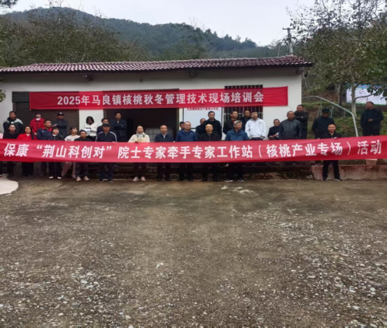 1761554232100012534.png 1761531327561680.png