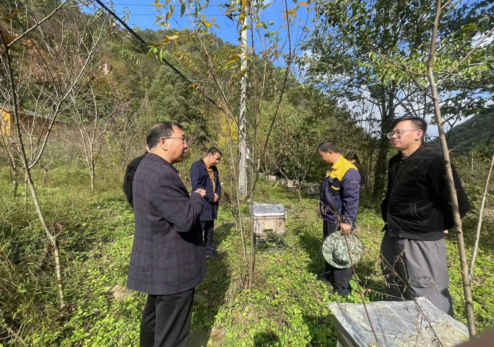 1762154874242029353.jpg 图片2.jpg