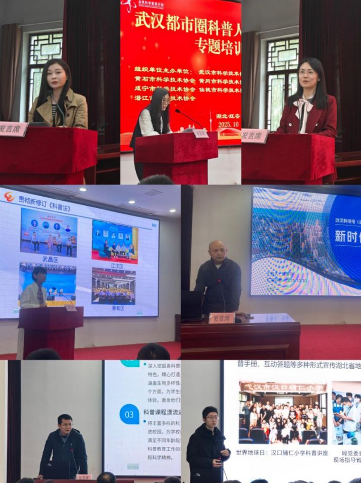 1762334625234005142.png 4.png