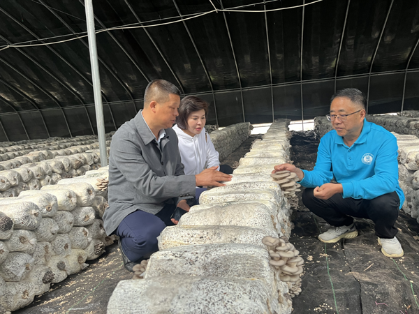 1762416962637019022.png 图片1.png