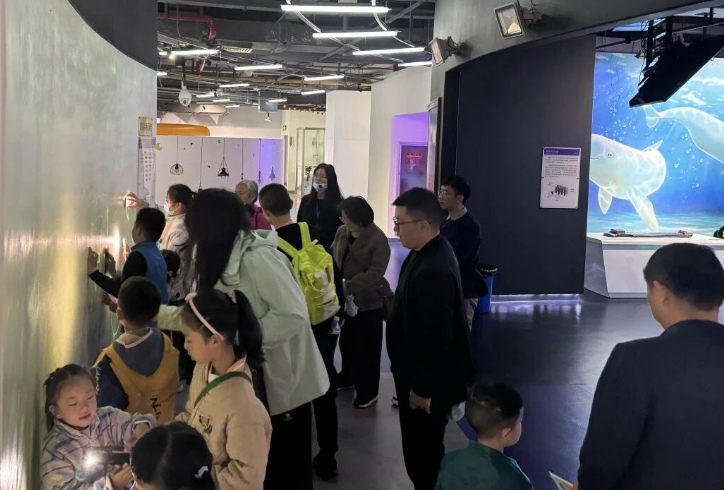 1762856444545028501.png 0.png