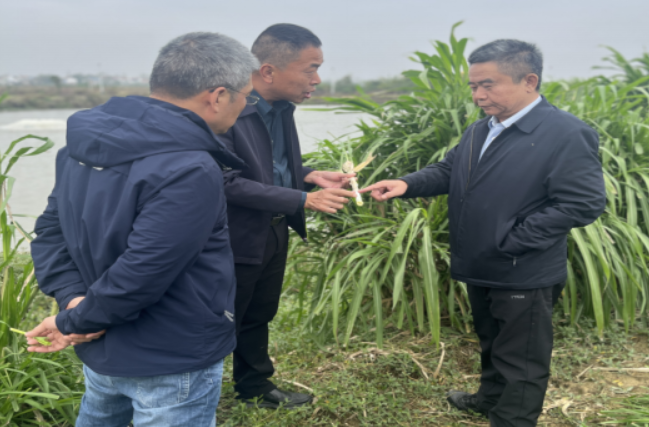 1762943484334002711.png 1762943484334002711.png