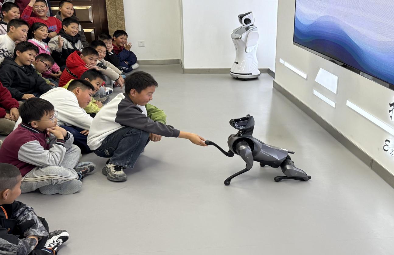 1763107463420062072.jpg 图片2.jpg