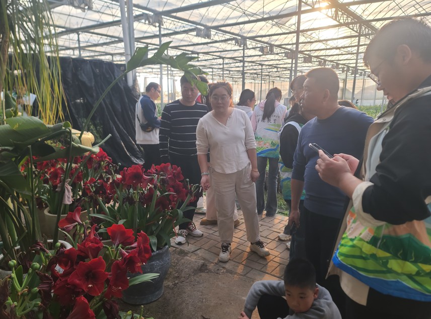 1763450028692003524.jpg 图片2_副本.jpg