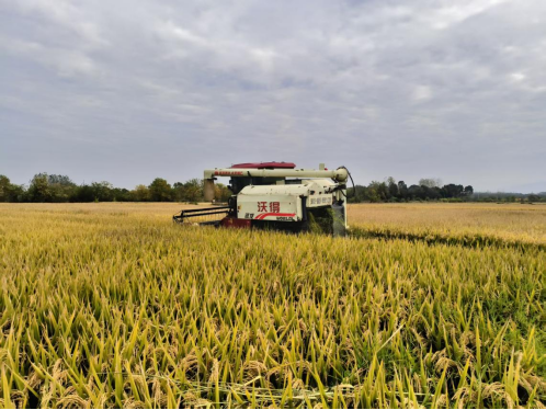 1763460290372025315.png 22.png