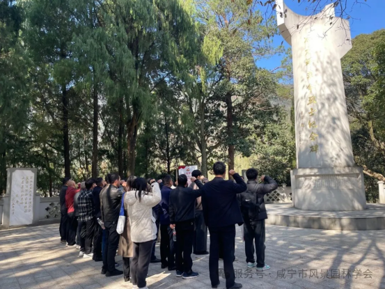 1763975703893045340.png 新建Word文档 73.png