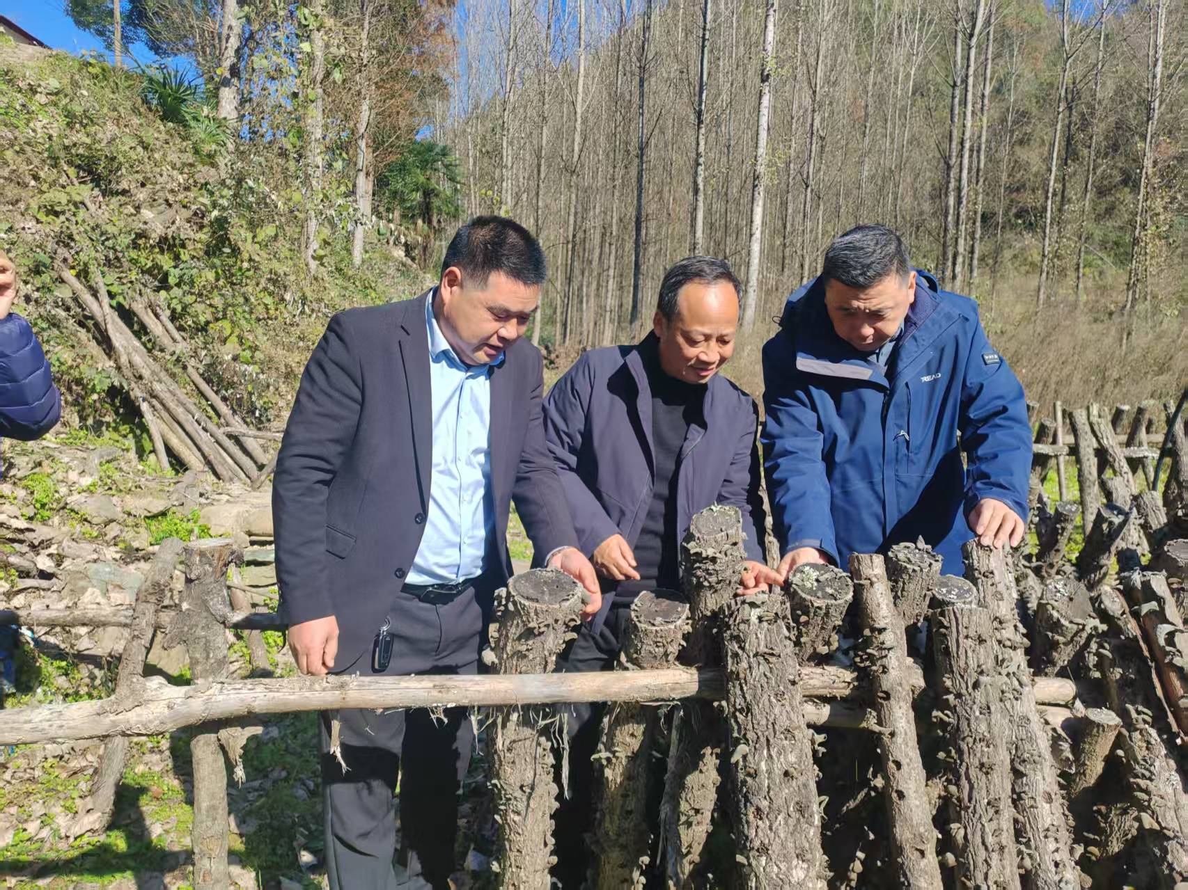 1764056890696094116.jpg 图片2.jpg