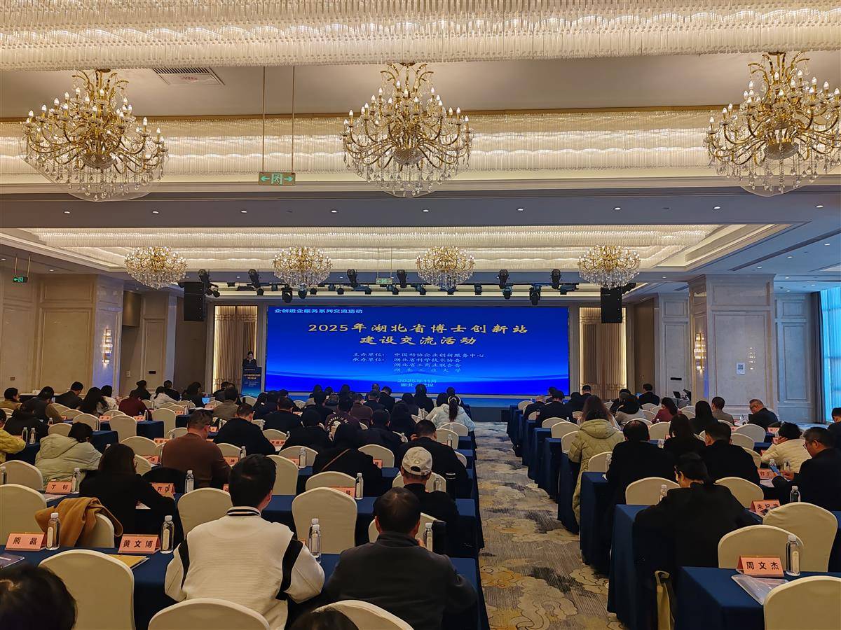 1764147640354025372.jpg 1764147640354025372.jpg