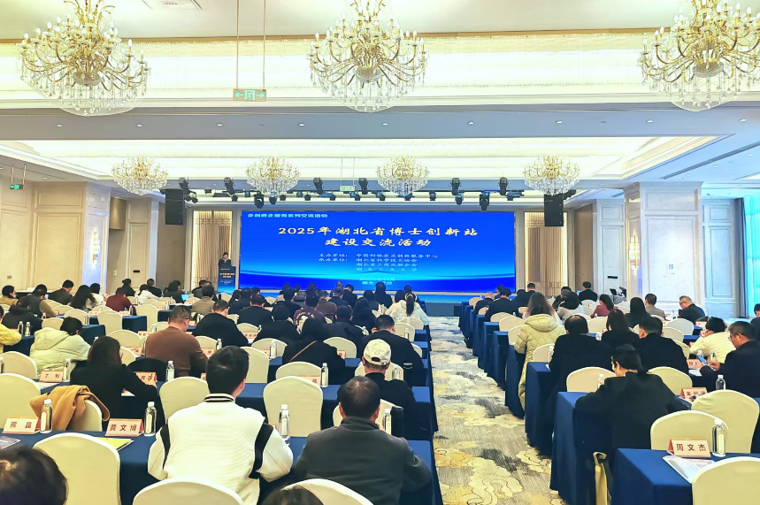 1764204888604045525.png image.png