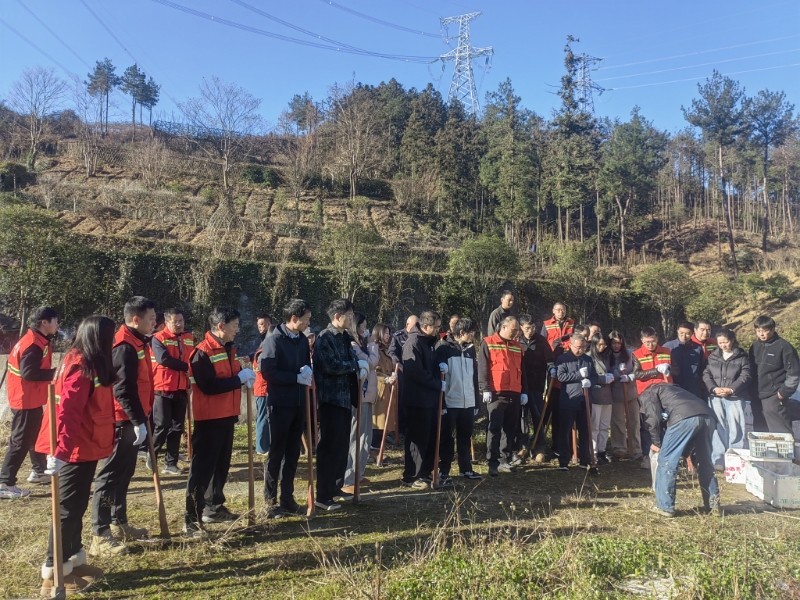 1764233039259059057.jpg 图片1.jpg