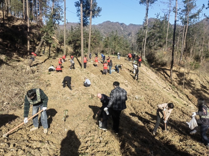 1764233045540077881.jpg 图片2.jpg