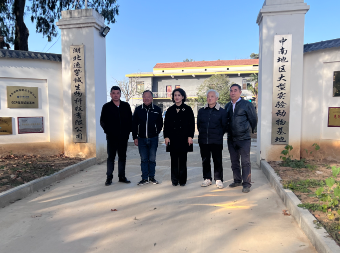 1764237753560011170.png 9.png