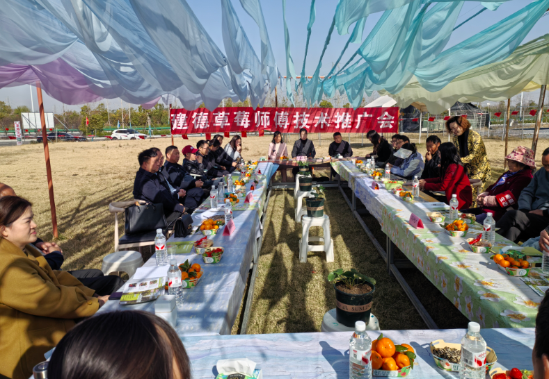 1764238475219080971.png 20.png