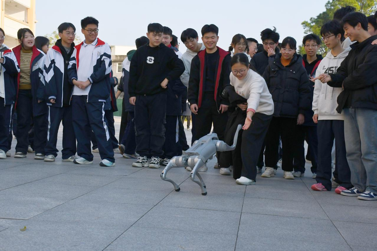 1764299846423031132.png 原图2.png