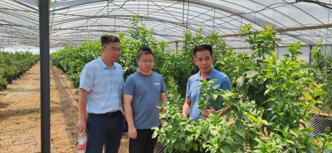 1764577650754044737.png image.png