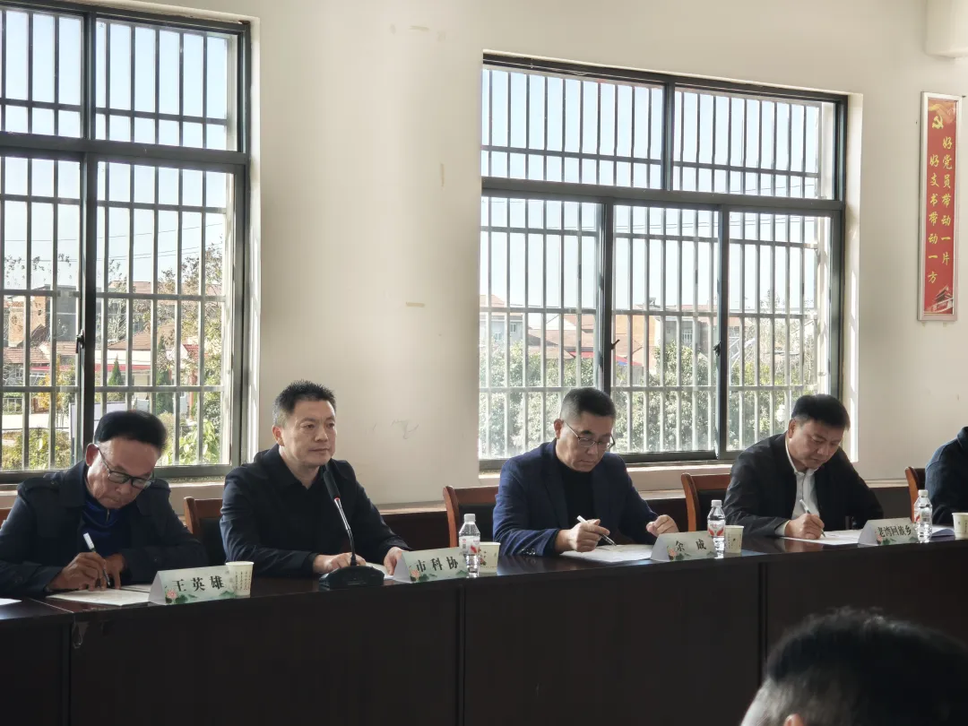 1765271017348070471.png 1765271017348070471.png