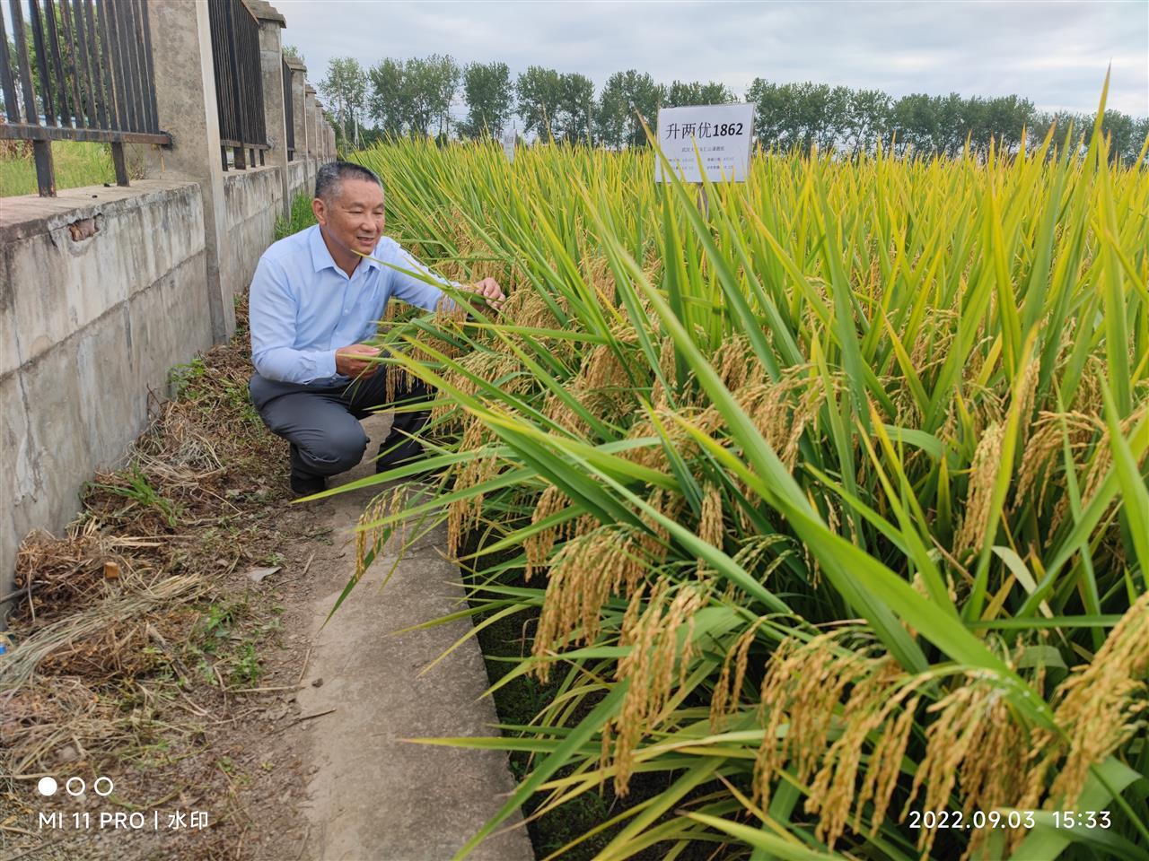 1766106161822025524.jpg 77e8f044d07347adb027bcd17892aa81.jpg