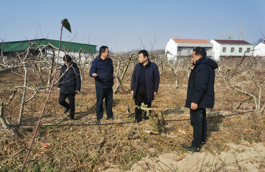 1766629463217055333.png 6ce7eecb-2df8-4035-86a6-7afc84d09354.png