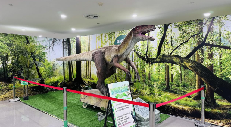 1767173286695009565.png 1767170925872725.png