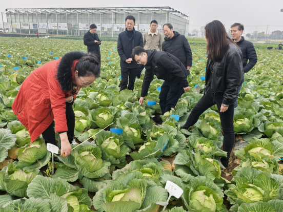 新闻稿--“科创中国”蔬菜全产业提升科技服务团项目总结交流会成功举办293.png