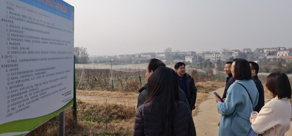 1767175506810067260.png 3.png