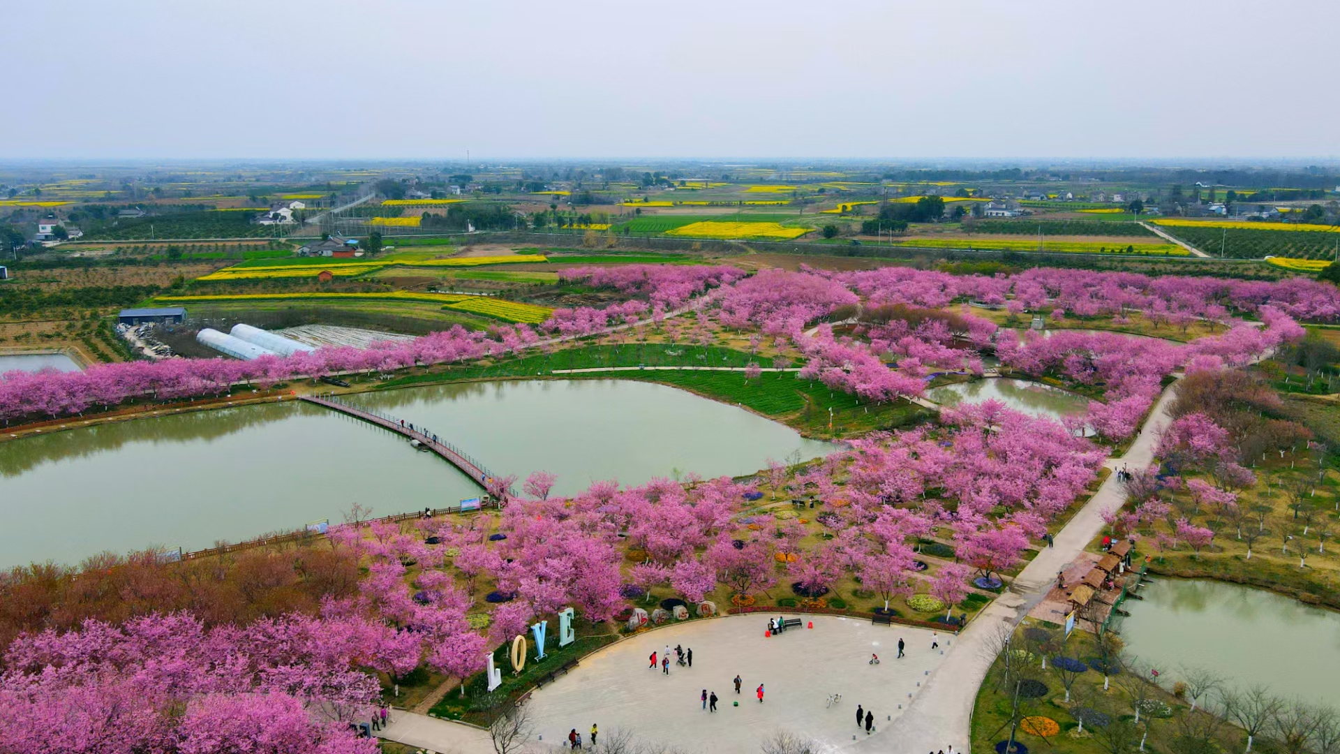枝江市同心花海植物园