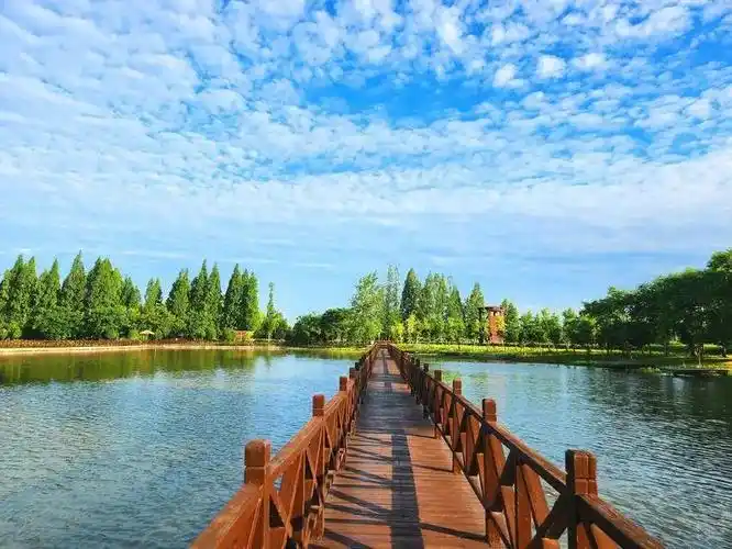 湖北孝感朱湖国家湿地公园