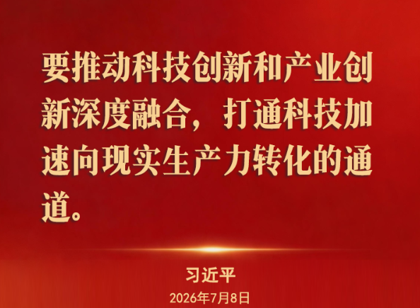 总书记金句来了