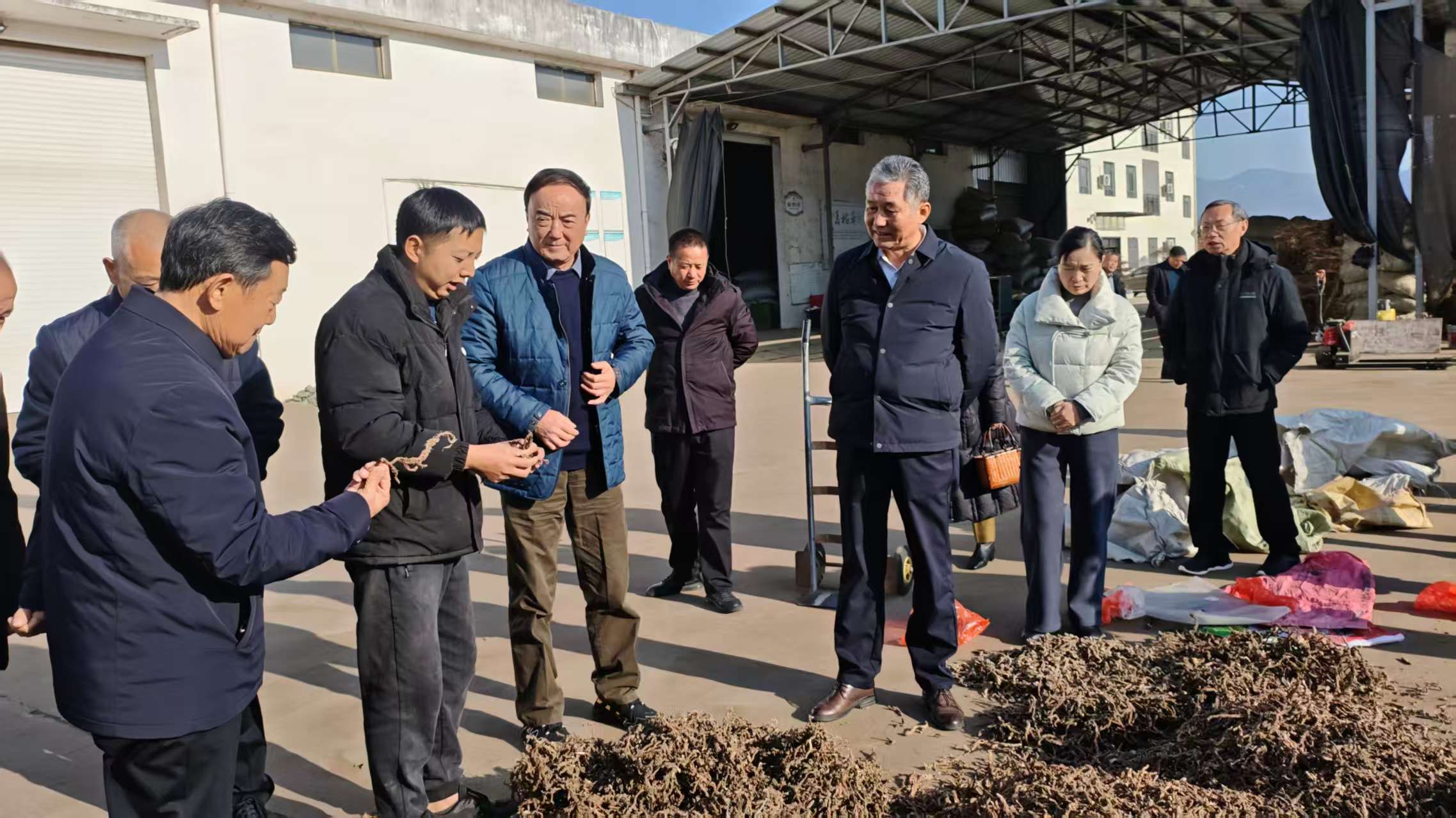 1767860430577067264.jpg 交流团在中药材科技小院.jpg