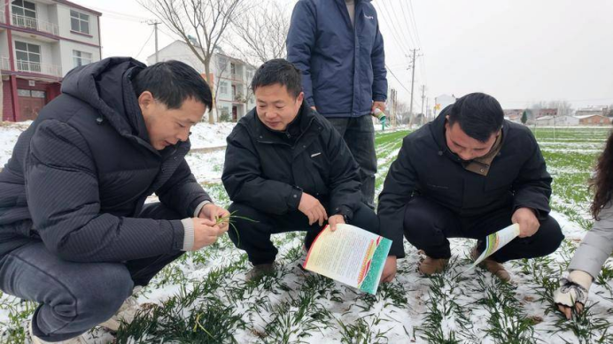 1769134941552044000.png 20260122104549_43771.png