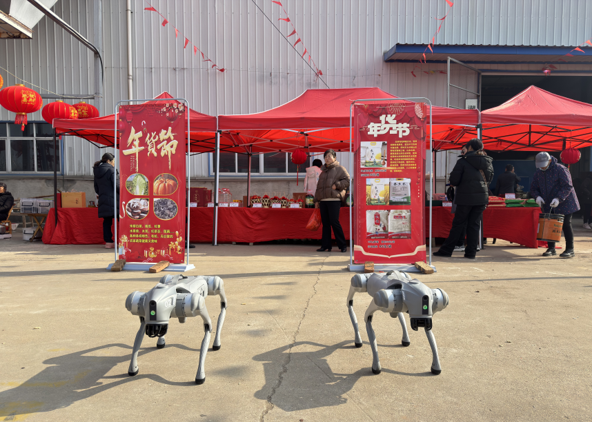 1769394849807045530.png 072d6ac9-8a53-42b8-b086-5bde91a06e54.png