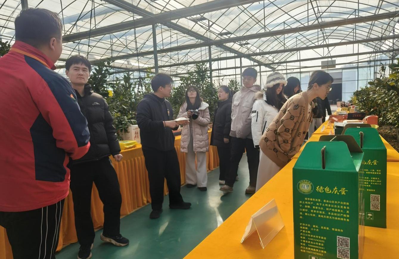 1769503087668021234.jpg 图片6.jpg