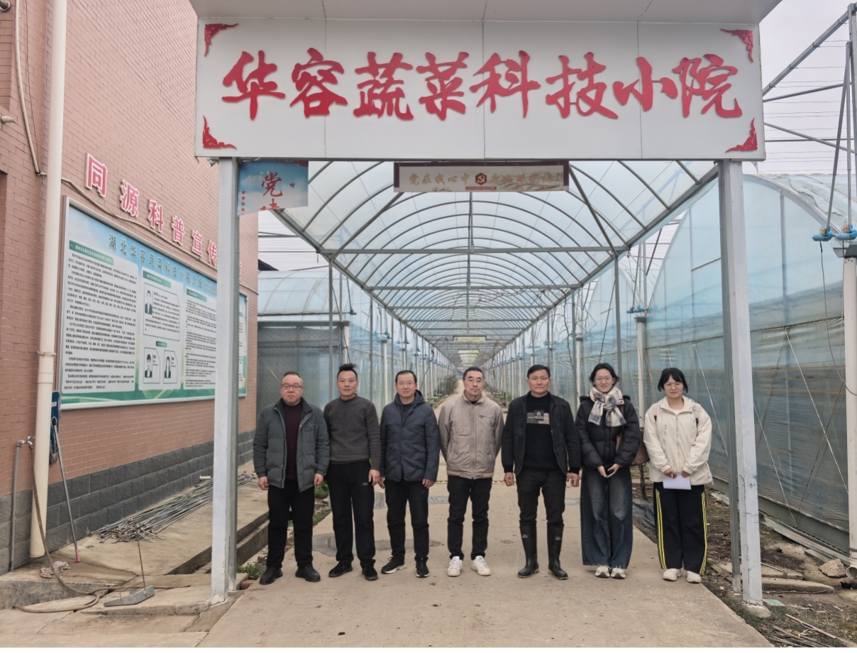 1770802087312098204.jpg 图片4.jpg