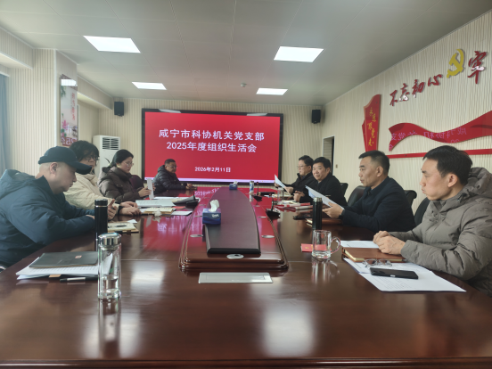 咸宁市科协机关党支部召开2025年度组织生活会和开展民主评议党员90.png