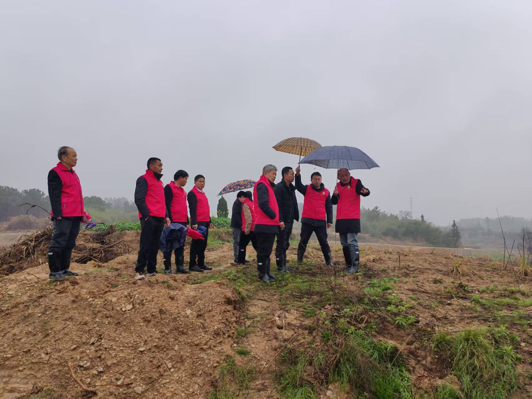 1772267117643003239.jpg 2.jpg