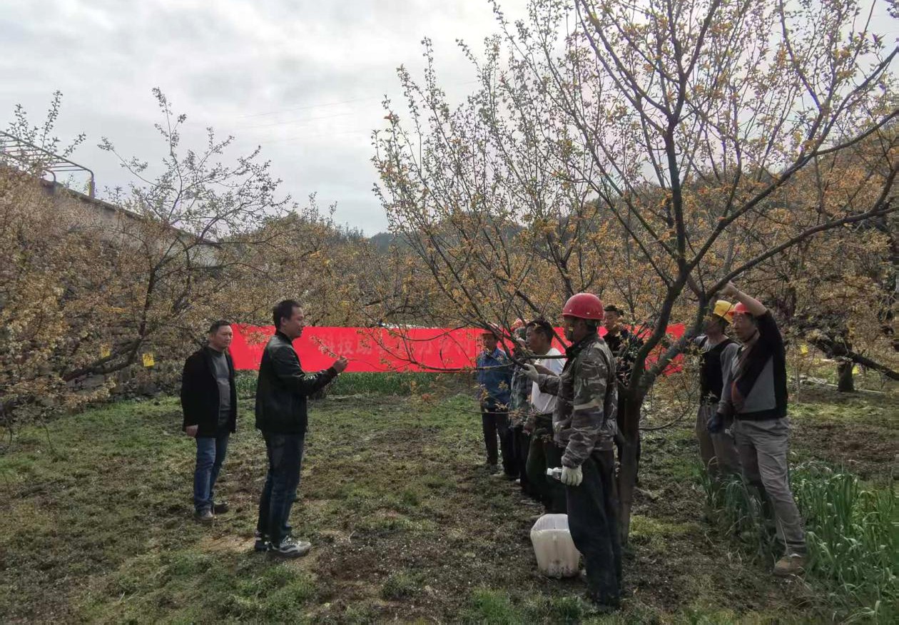 1773974900383057871.jpg 图片20.jpg