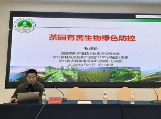 1774577726871013659.png 下载.png