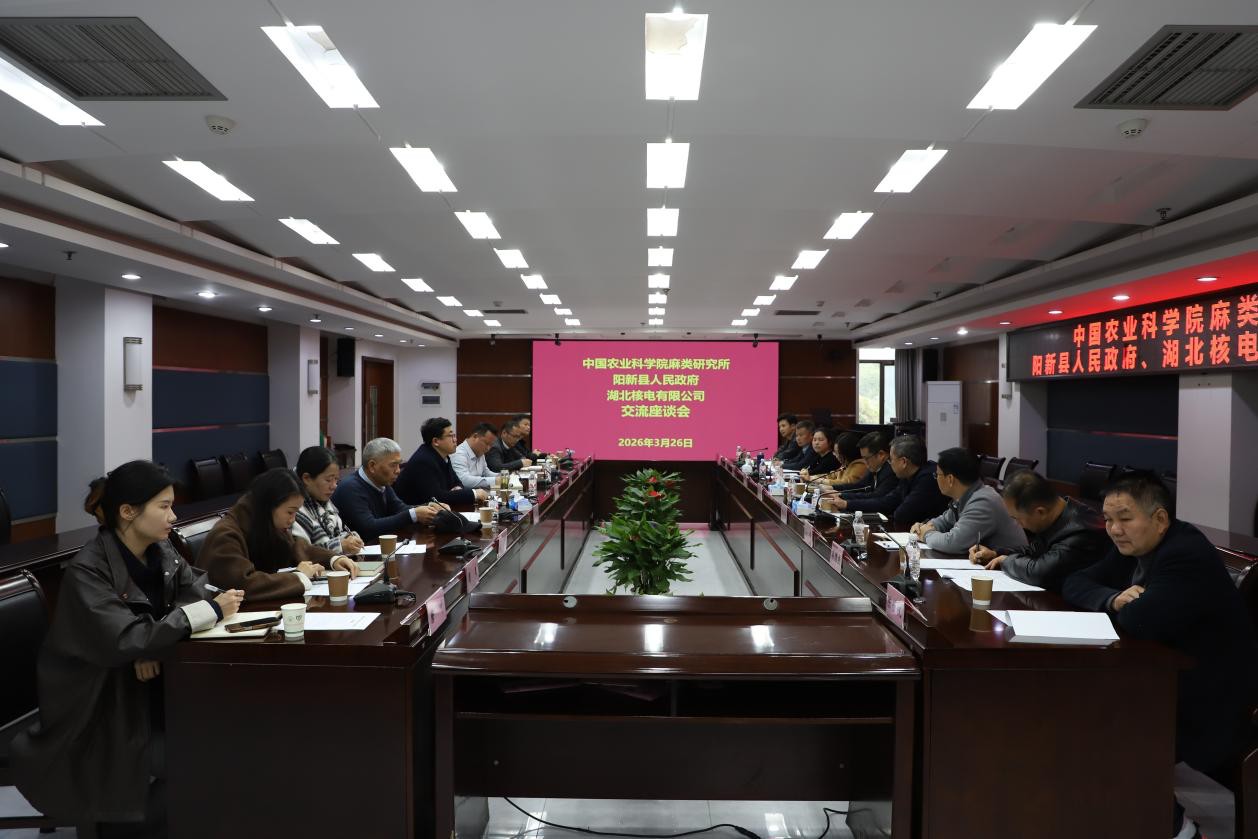 1774596177861005576.jpg 图片1_副本.jpg