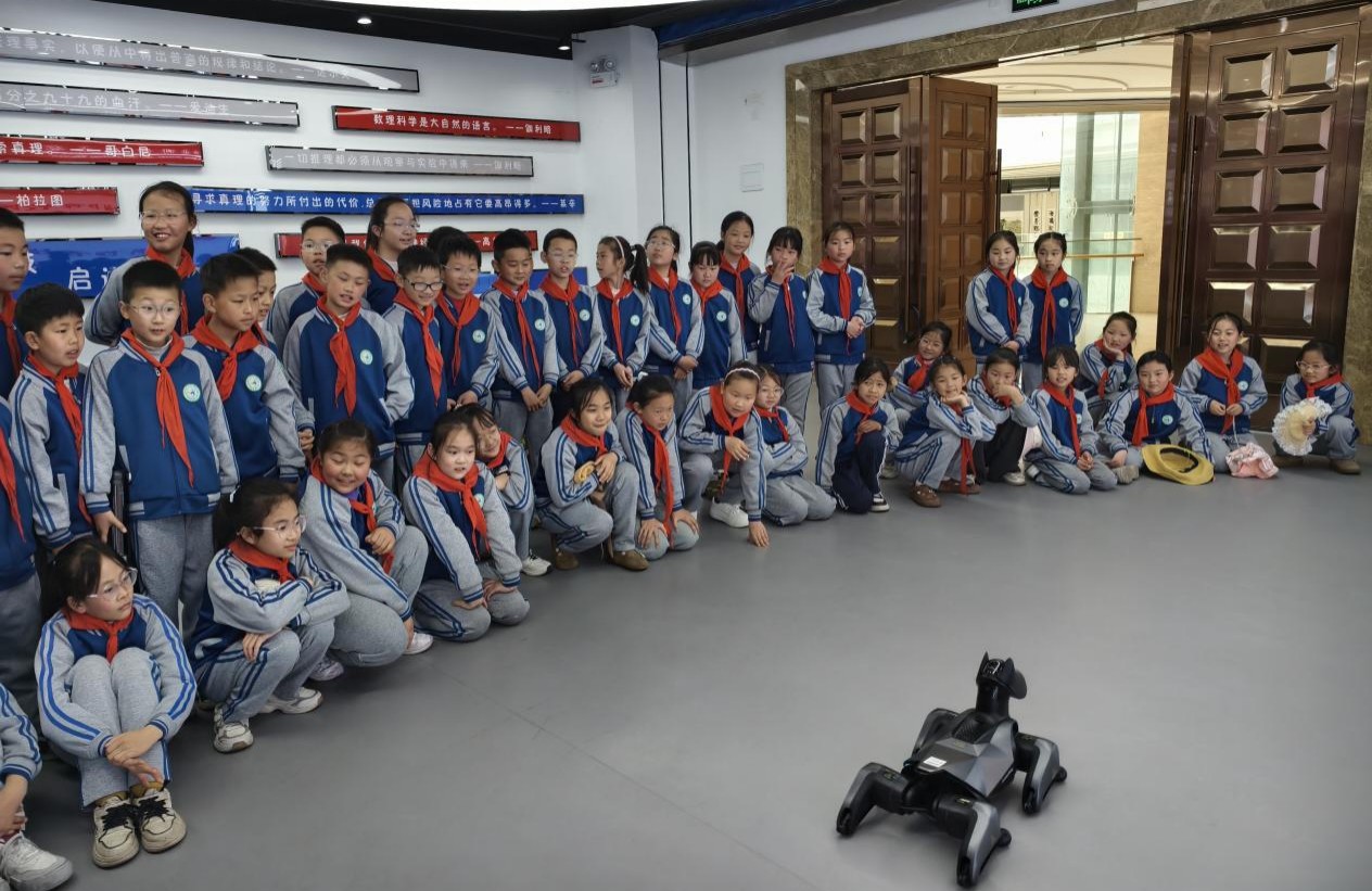 1775206297789045728.jpg 图片4.jpg