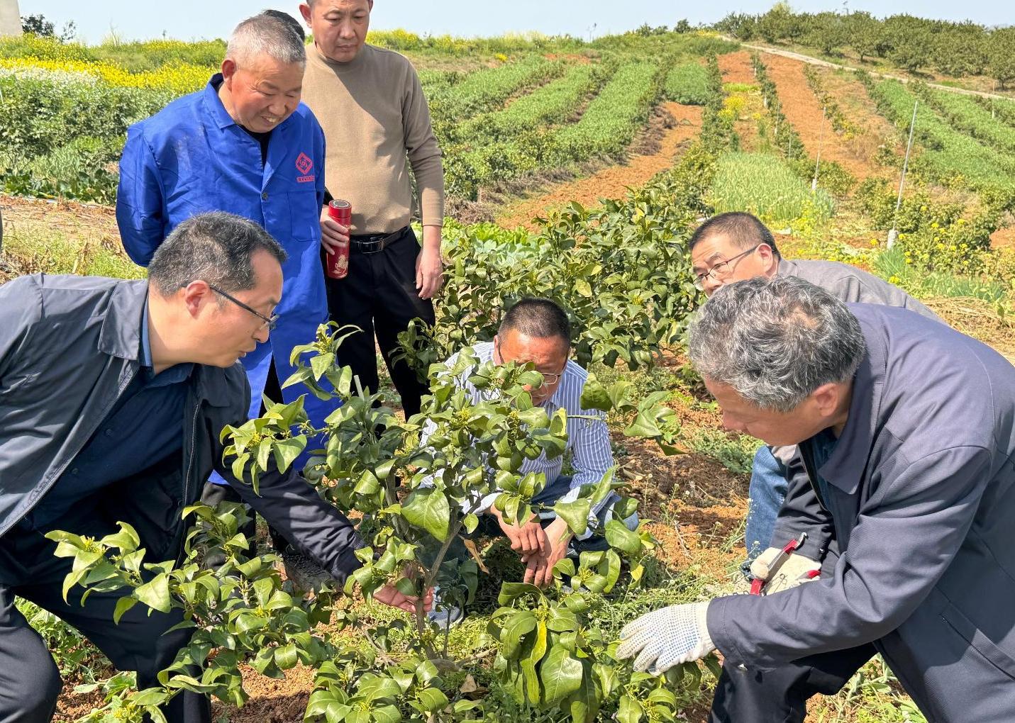 1775206536281073778.jpg 截图录屏_选择区域_20260403165423.jpg