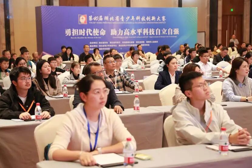 1776048646418022876.jpeg 1776044276357753.jpeg