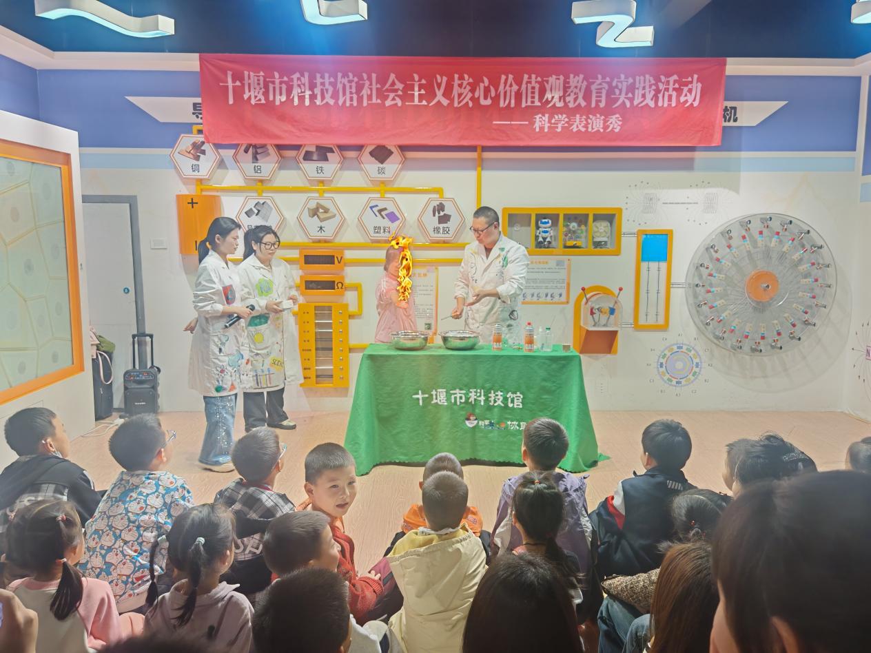 1776065929836049191.jpg 图片10.jpg