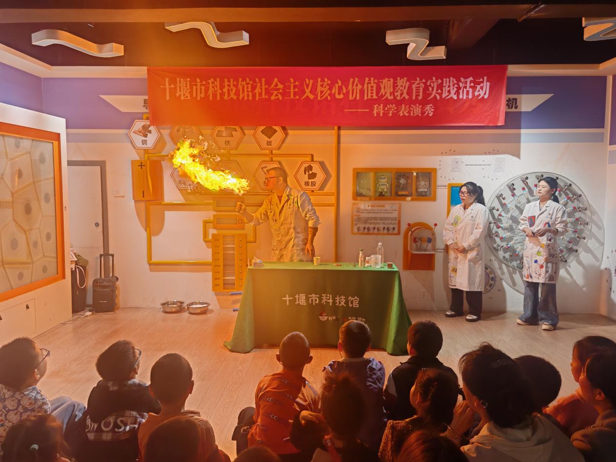 1776065936753054722.jpg 图片11.jpg