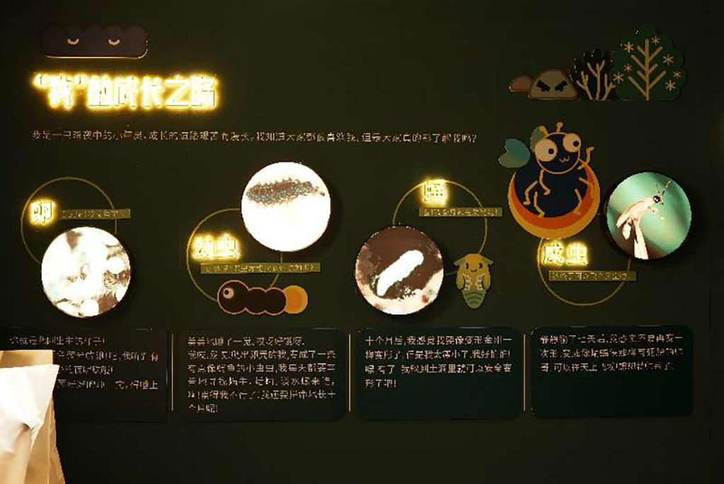 图片1.png