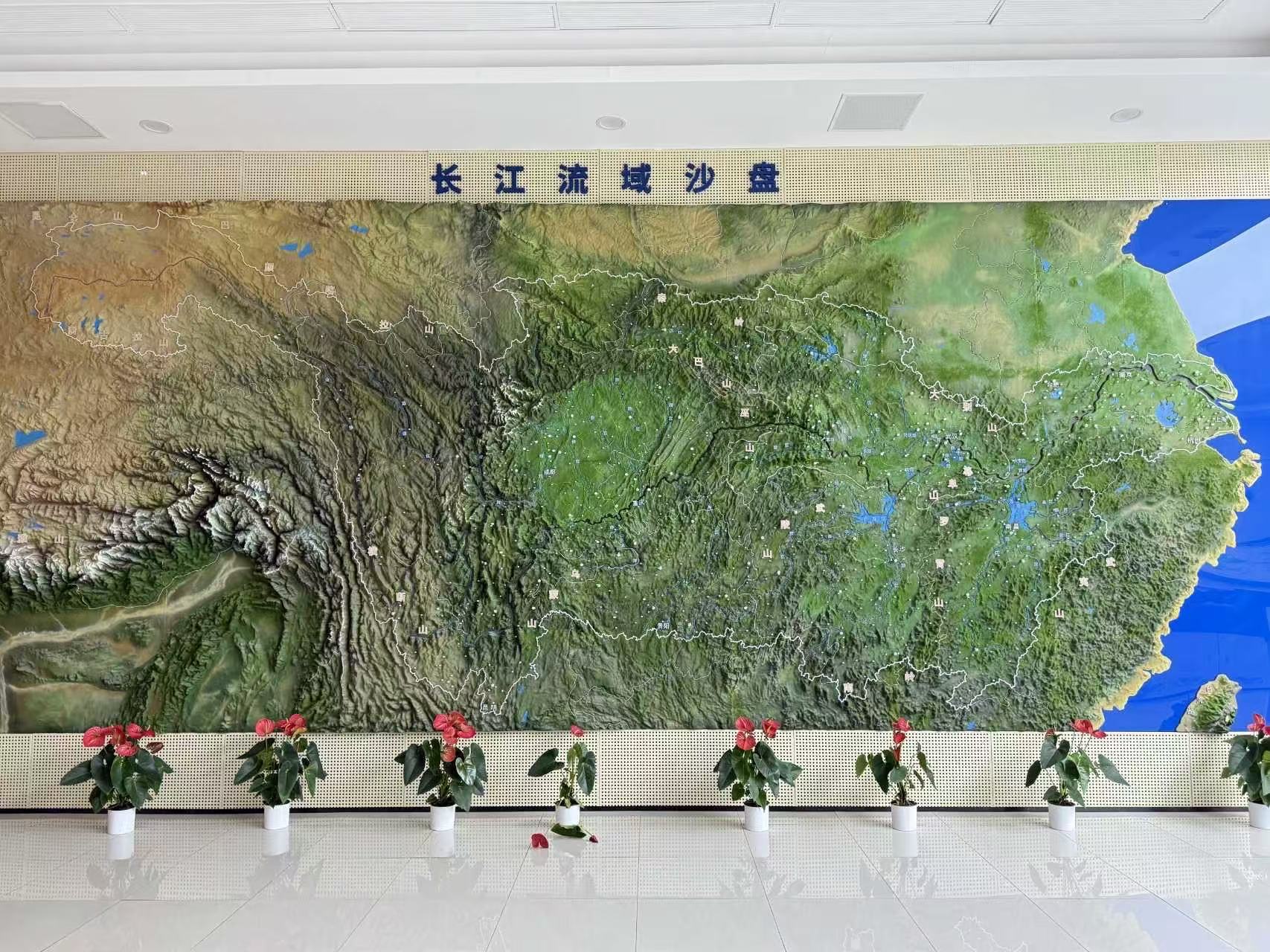 1777431765251042874.jpg 微信图片_20260429105649_184_131.jpg