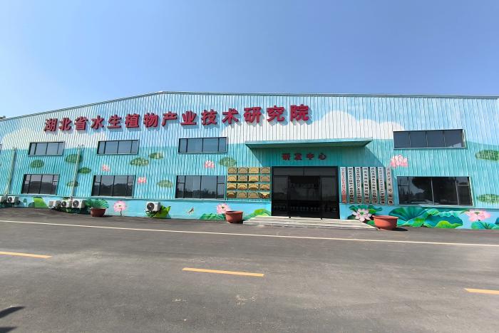 湖北省水生植物产业技术研究院.jpg