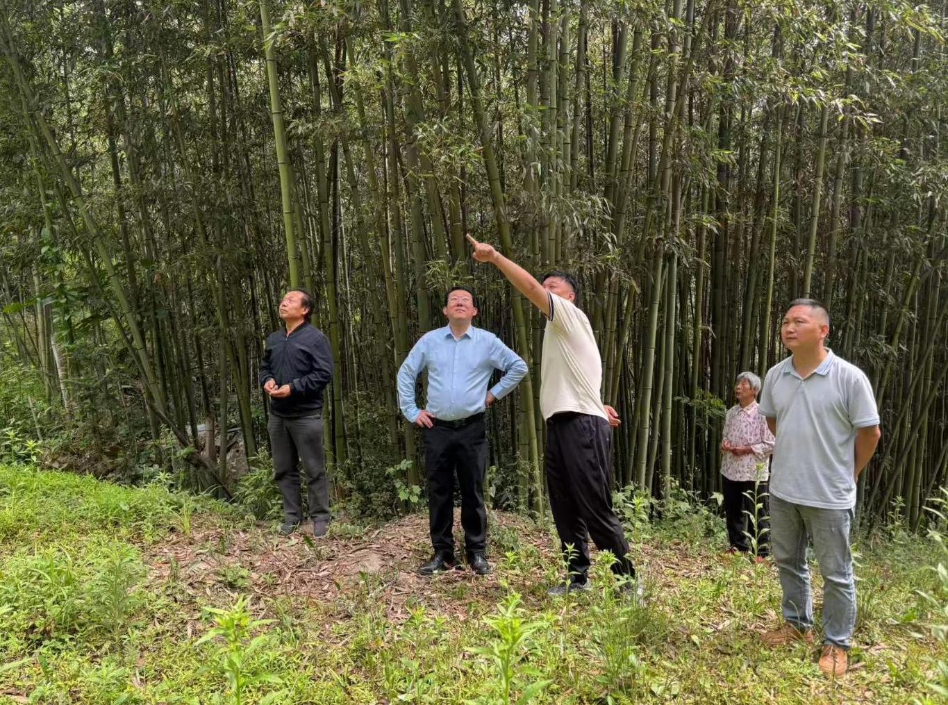 截图录屏_选择区域_20260515151155.jpg